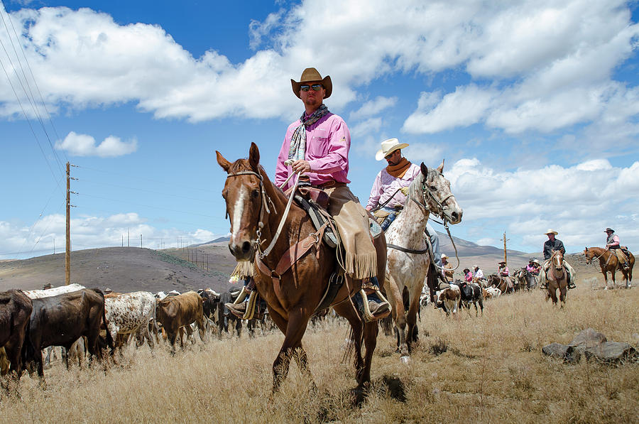 2016 Reno Cattle Drive 7 Photograph by Rick Mosher