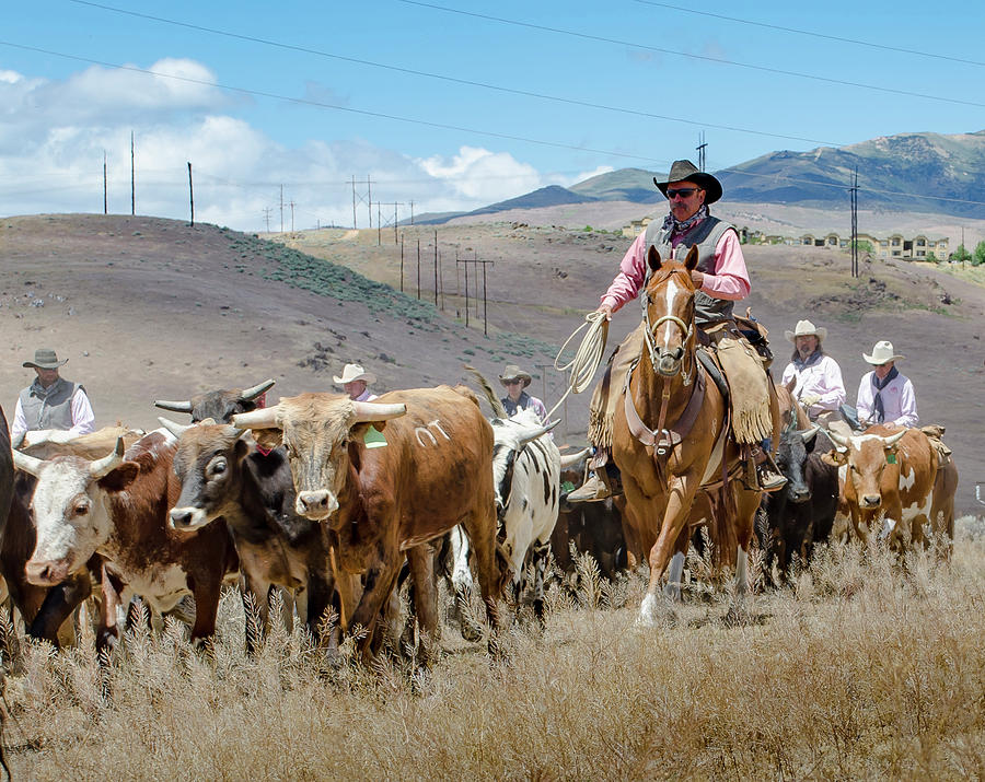 2016 Reno Cattle Drive 8 Photograph by Rick Mosher