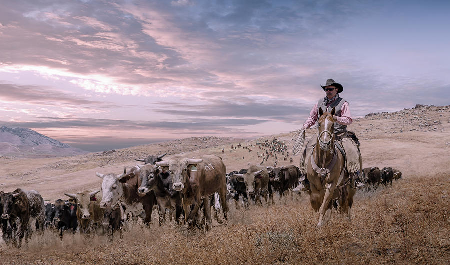 2016 Reno Cattle Drive Photograph by Rick Mosher
