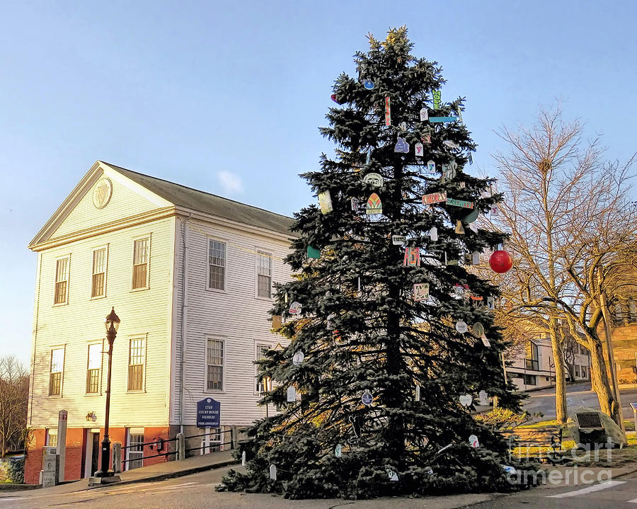 2017 Christmas Tree Plymouth MA Photograph by Janice Drew Pixels