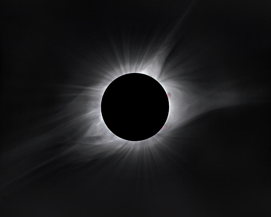 Eclipse Photograph - 2017 Eclipse Totality by Dennis Sprinkle