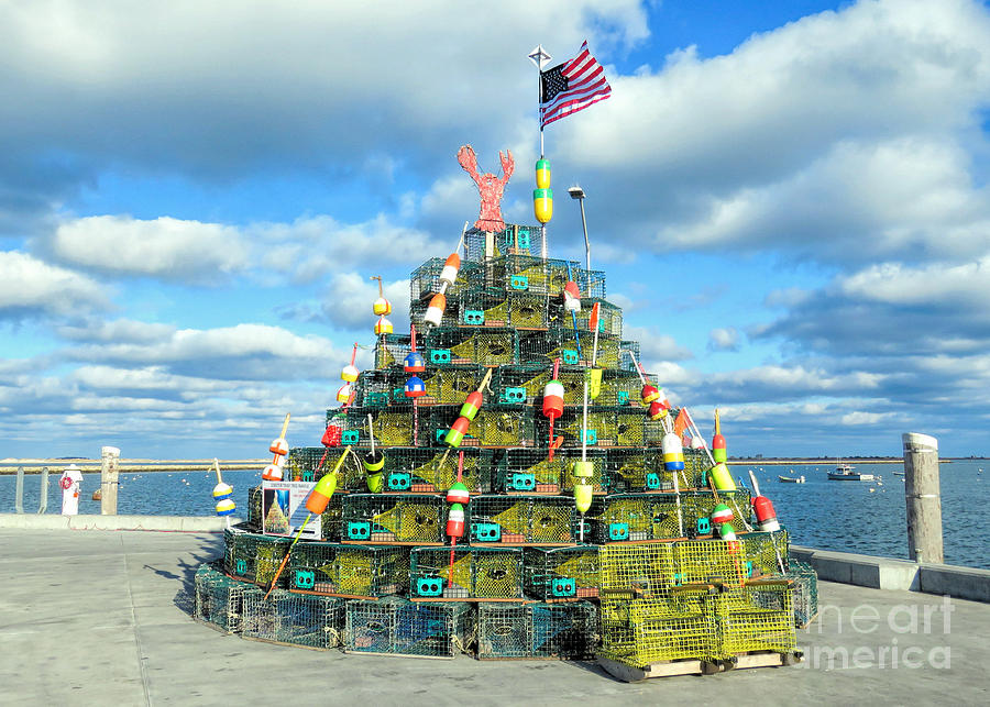 2017 Lobster Pot Tree  Photograph by Janice Drew
