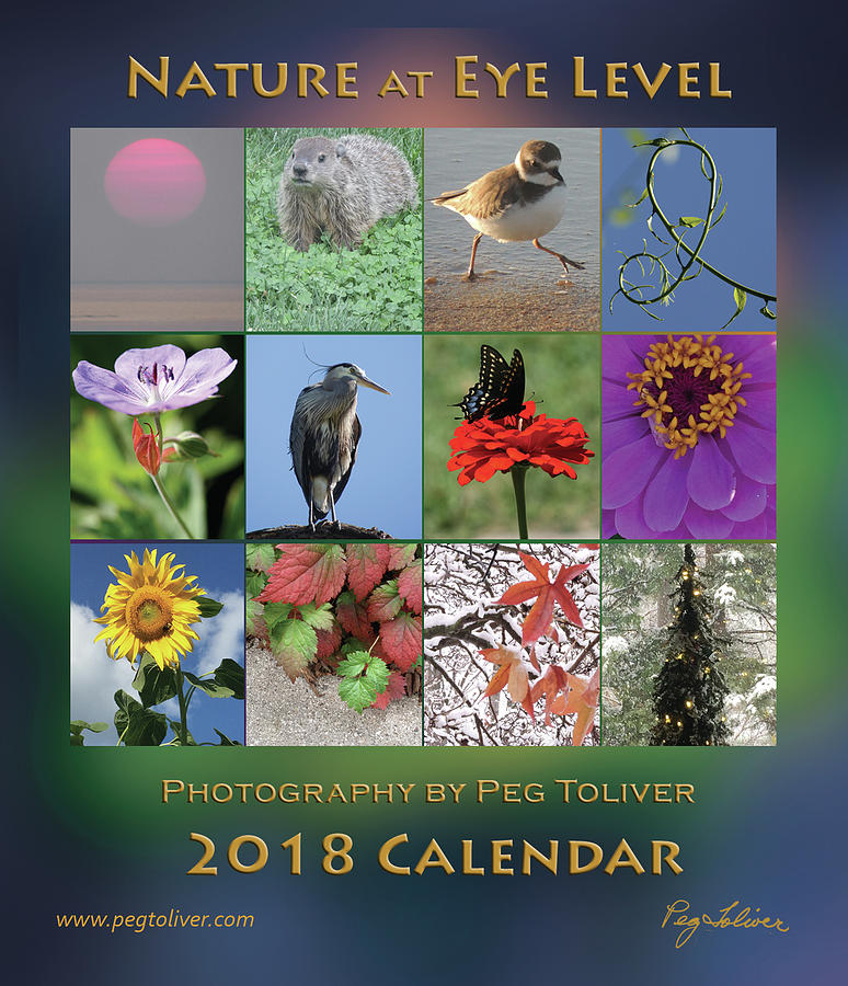2018 Calendar Thumbprints by Peg Toliver 2018 Calendar Thumbprints by Peg Toliver