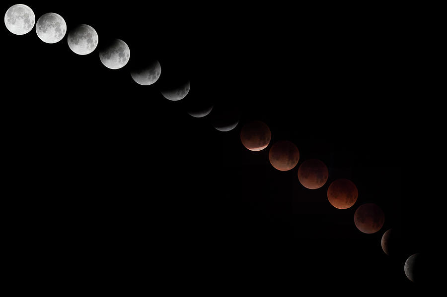 2018 Lunar Eclipse Photograph by Mike Gifford