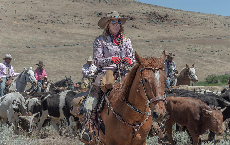 2018 Reno Cattle Drive 6 Photograph by Rick Mosher