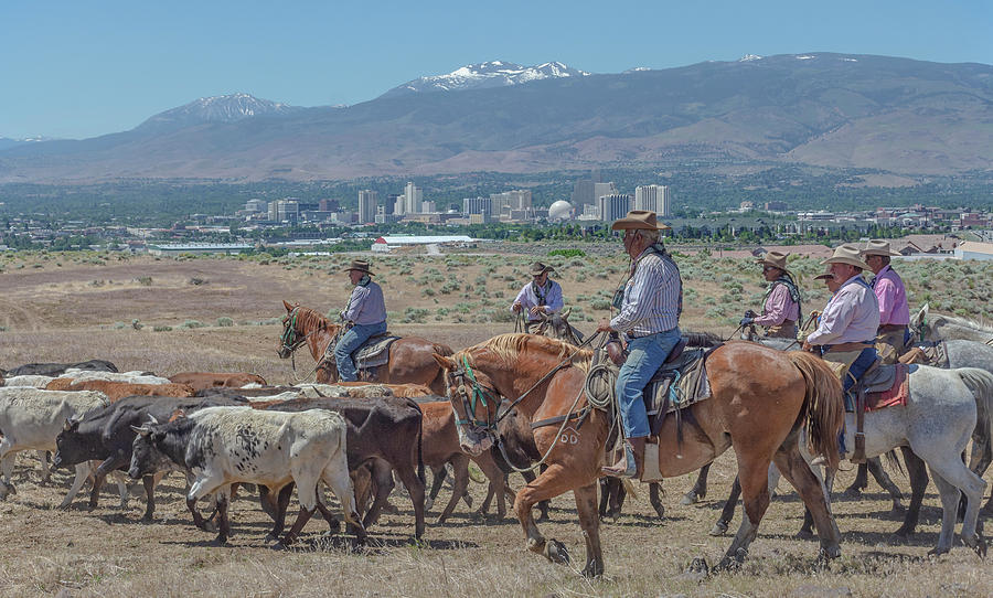 2018 Reno Cattle Drive 7 Photograph by Rick Mosher