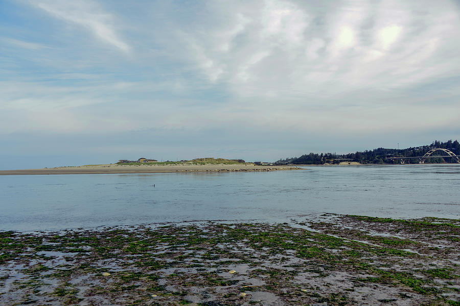 2018 Waldport Oregon Low Tide In The Bay Photograph by Image Takers
