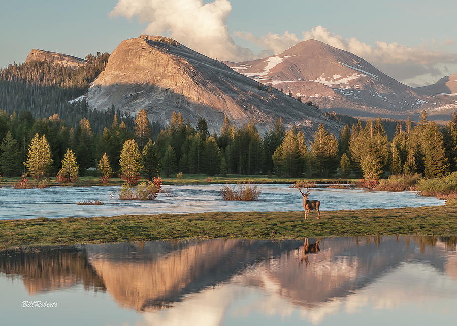 2018 Yosemite Calendar June Photograph by Bill Roberts