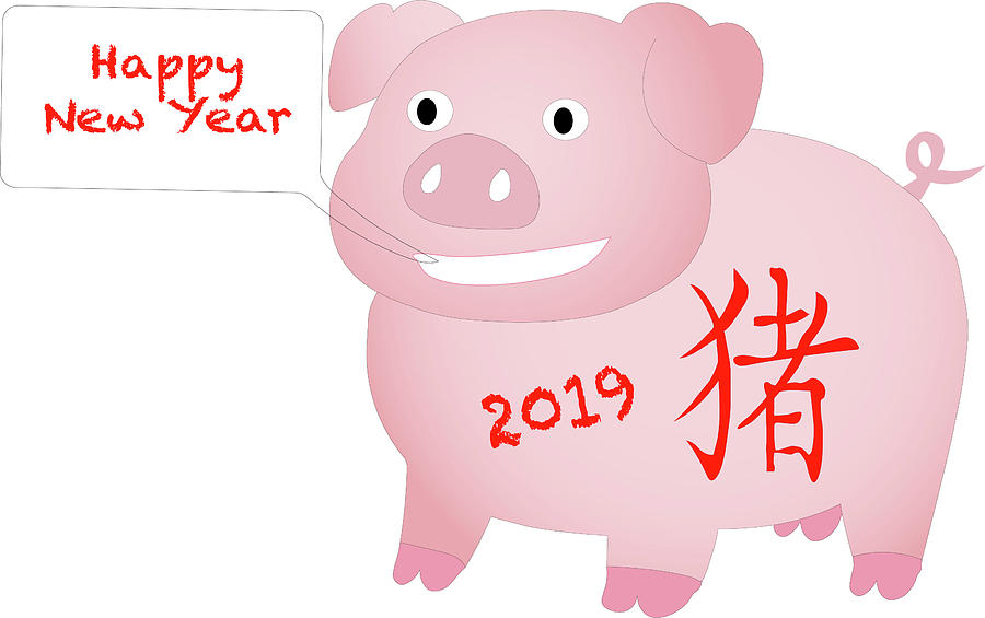 2019 Chinese Year of the PIg Photograph by Karen Foley - Fine Art America