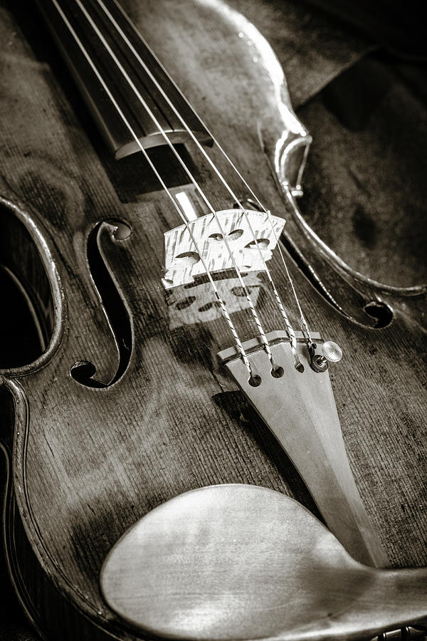 203 .1841 Violin by Jean Baptiste Vuillaume BW Photograph by M K Miller