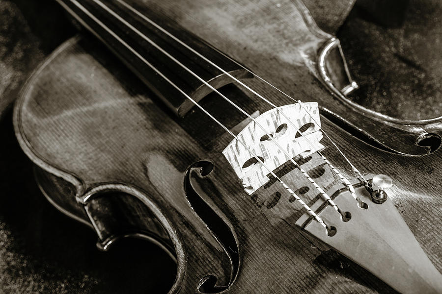 204 .1841 Violin by Jean Baptiste Vuillaume BW Photograph by M K Miller