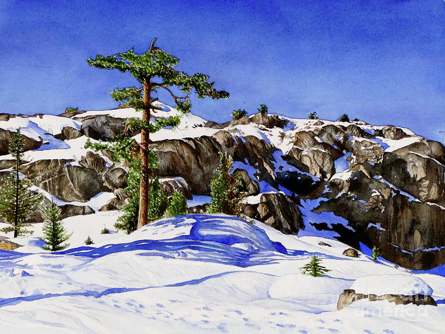 #204 Donner Summit 2 #204 Painting by William Lum
