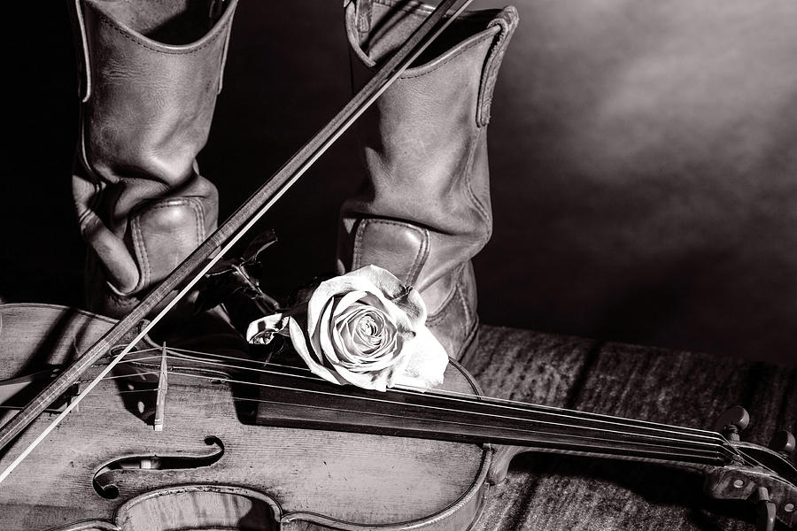 209 .1841 Violin by Jean Baptiste Vuillaume BW Photograph by M K Miller