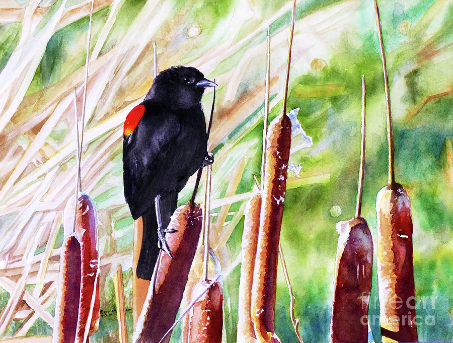 #209 Red-Winged Blackbird #209 Painting by William Lum