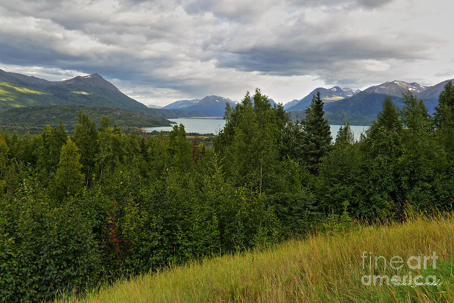Alaska #21 Photograph by Steve Javorsky