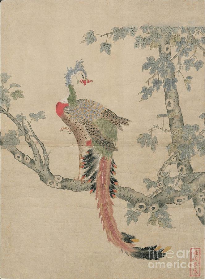 Birds of Japan in the 19th century #21 Painting by Celestial Images