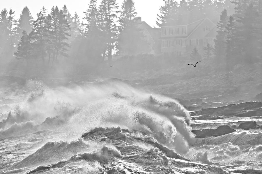 Black and White Large Waves Near Pemaquid Point On The Coast Of  #21 Photograph by Keith Webber Jr