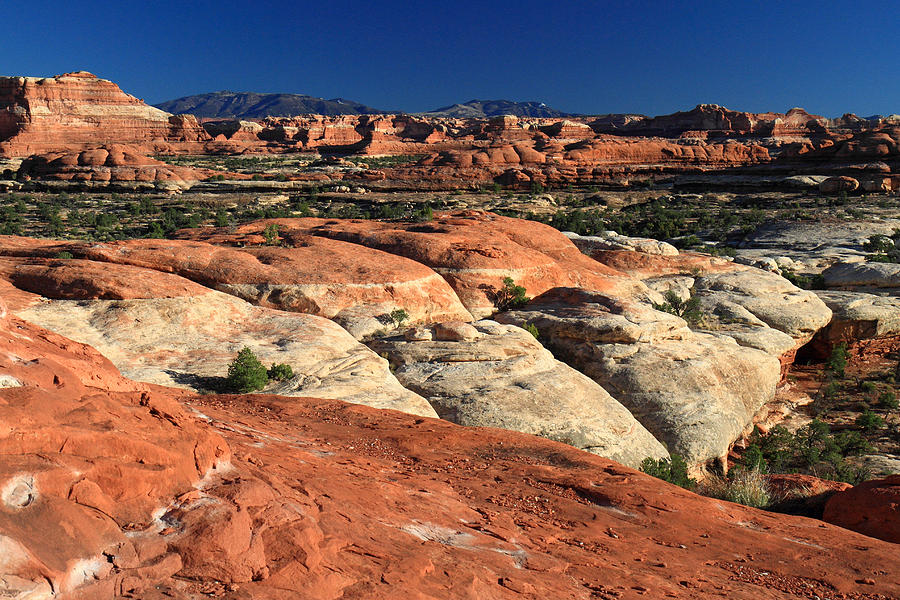 Canyonlands National Park #21 Photograph by Pierre Leclerc Photography