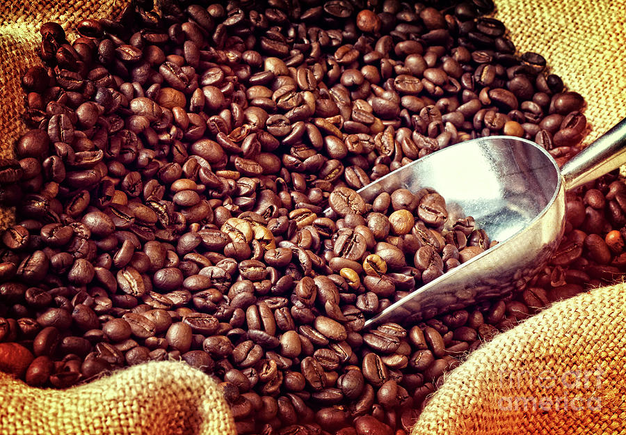 Espresso And Coffee Grain #21 Photograph by Gualtiero Boffi