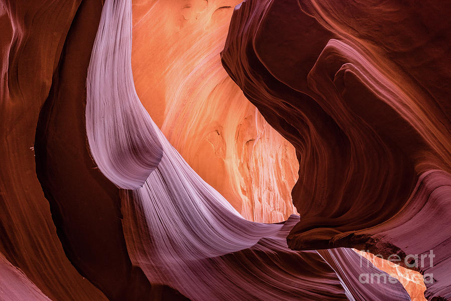 Lower Antelope Canyon #21 Photograph by Craig Shaknis