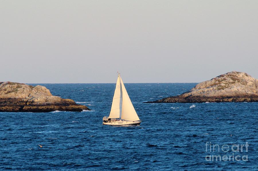 Marblehead MA #21 Photograph by Donn Ingemie