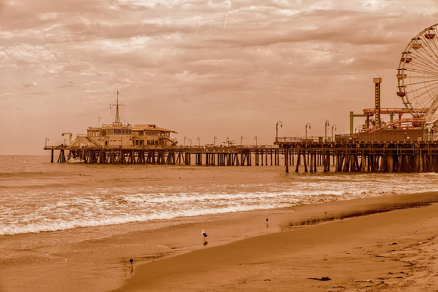 Santa Monica Pier Collection- 24/36 Photograph by Gene Parks