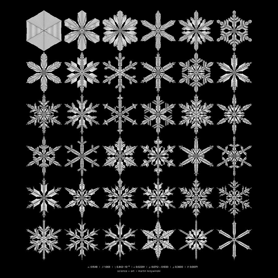 Snowflake simulation #21 Digital Art by Martin Krzywinski