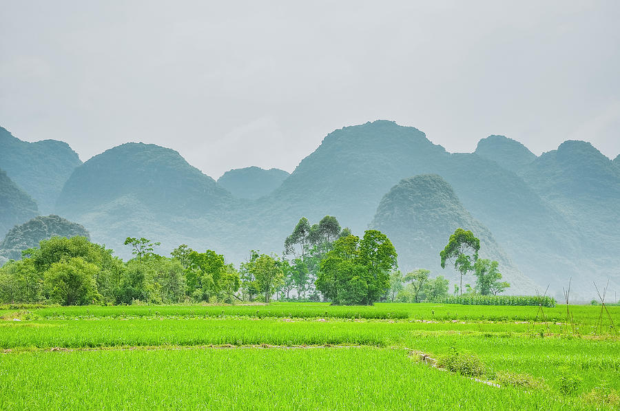 The beautiful karst rural scenery #21 Photograph by Carl Ning