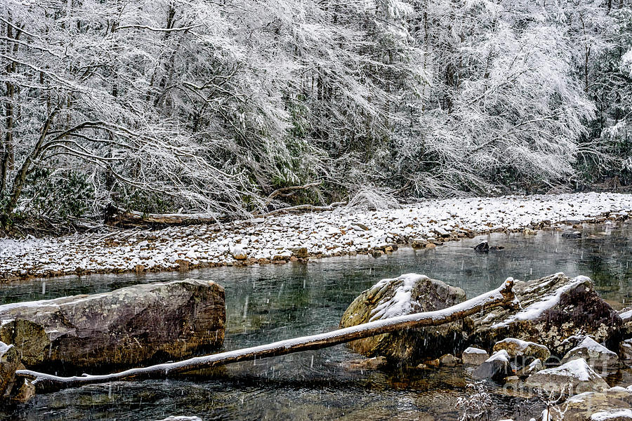 Winter along Cranberry River #21 Photograph by Thomas R Fletcher