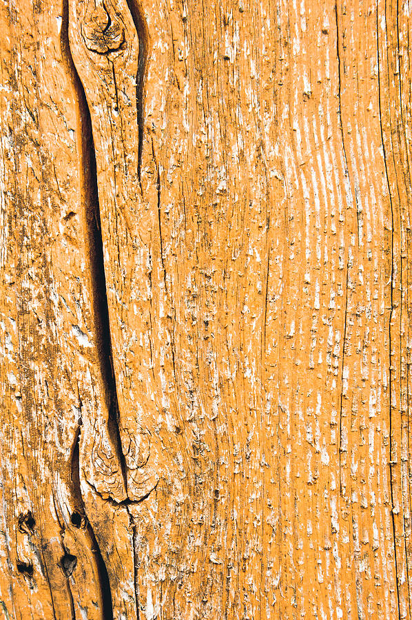 Abstract Photograph - Wood background #21 by Tom Gowanlock