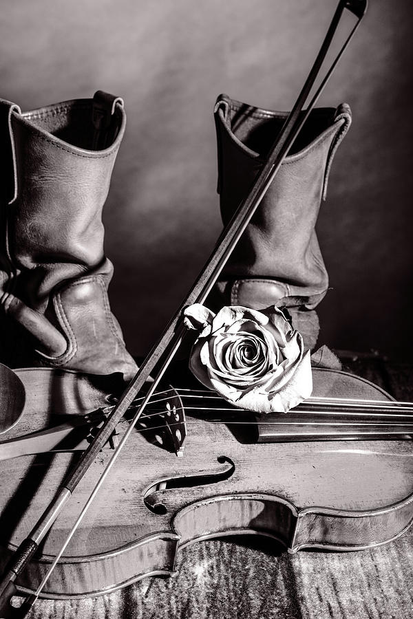 210 .1841 Violin by Jean Baptiste Vuillaume BW Photograph by M K Miller