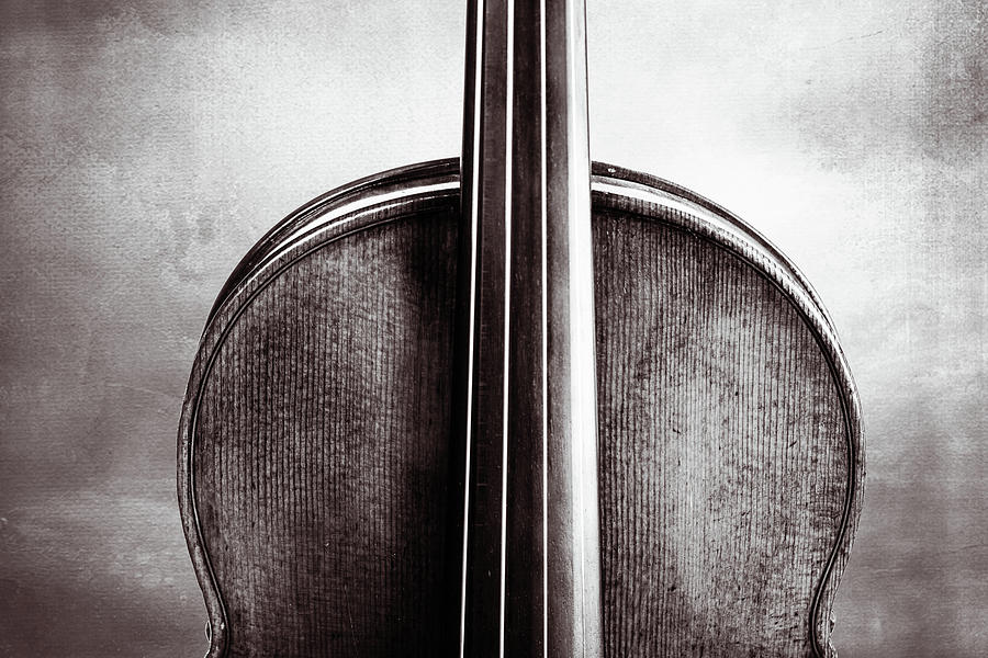 211 .1841 Violin by Jean Baptiste Vuillaume BW Photograph by M K Miller