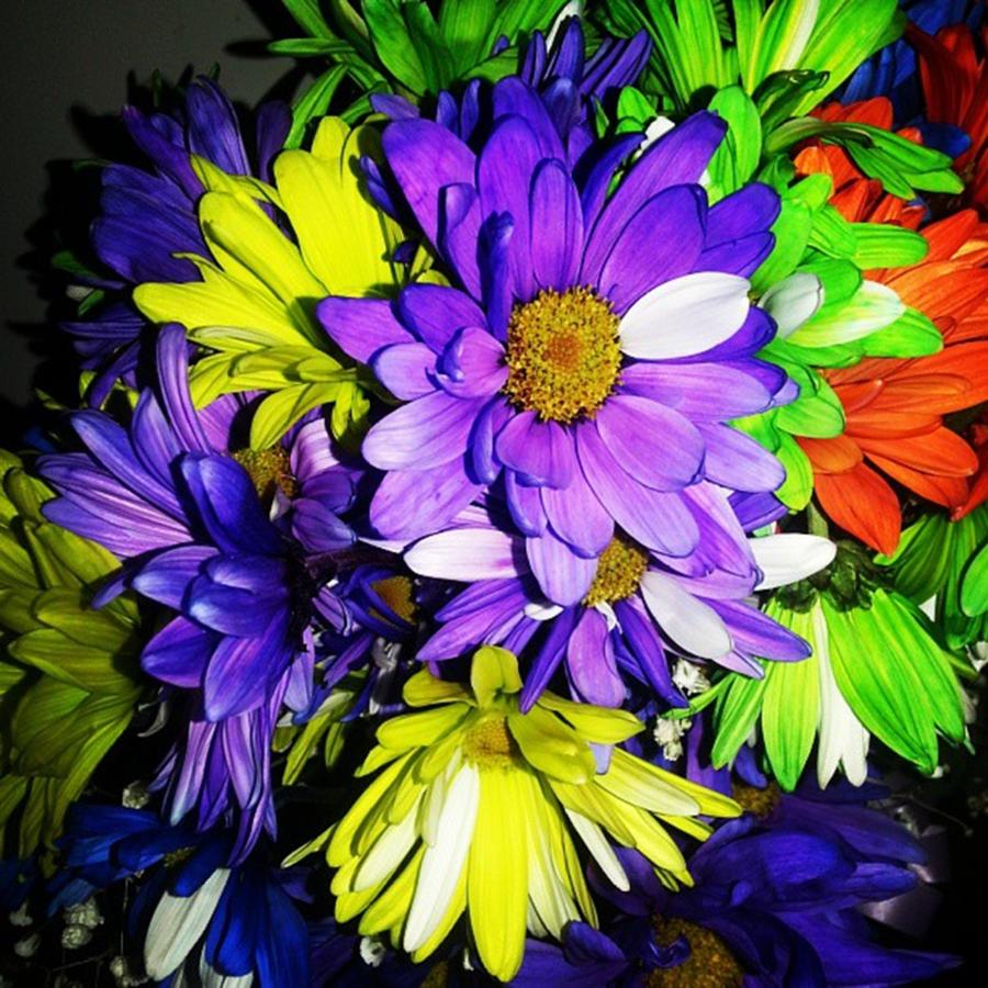 Flowers Still Life Photograph - Color Bouquet #1 by Lisa Amakye-Ansah