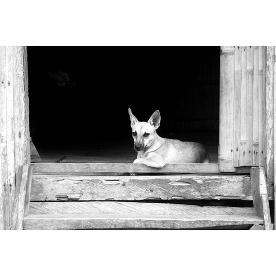 Black And White Photograph - Instagram Photo #211460165503 by Jun Pinzon Black And White Photograph - Instagram Photo #211460165503 by Jun Pinzon