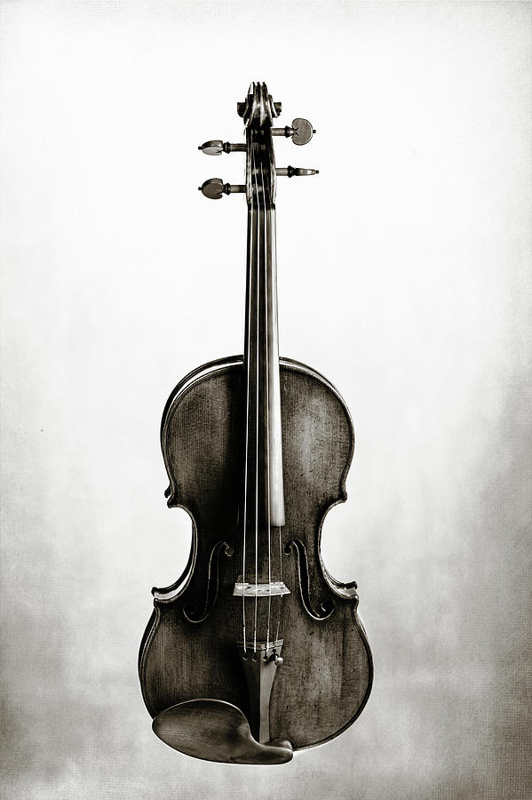 213 .1841 Violin by Jean Baptiste Vuillaume BW Photograph by M K Miller