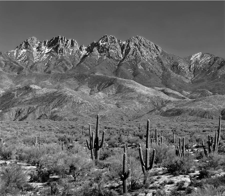213560 Four Peaks, Superstition Mountains Az Photograph by Ed Cooper Photography