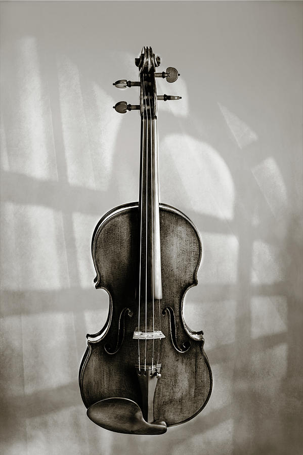 214 .1841 Violin by Jean Baptiste Vuillaume BW Photograph by M K Miller