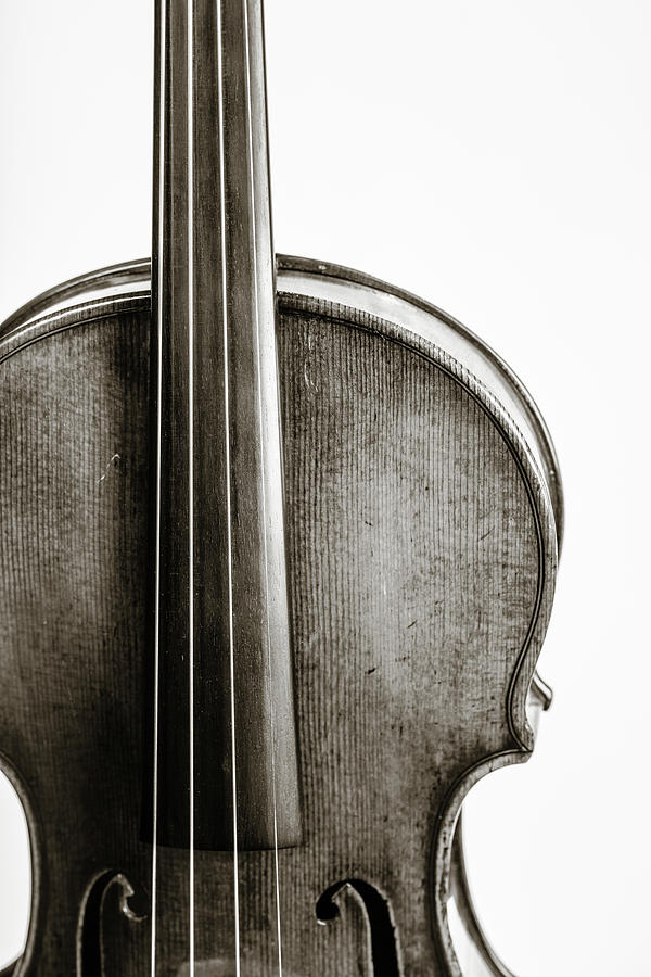 217 .1841 Violin by Jean Baptiste Vuillaume BW Photograph by M K Miller