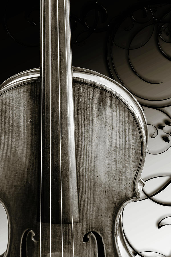 218 .1841 Violin by Jean Baptiste Vuillaume BW Photograph by M K Miller