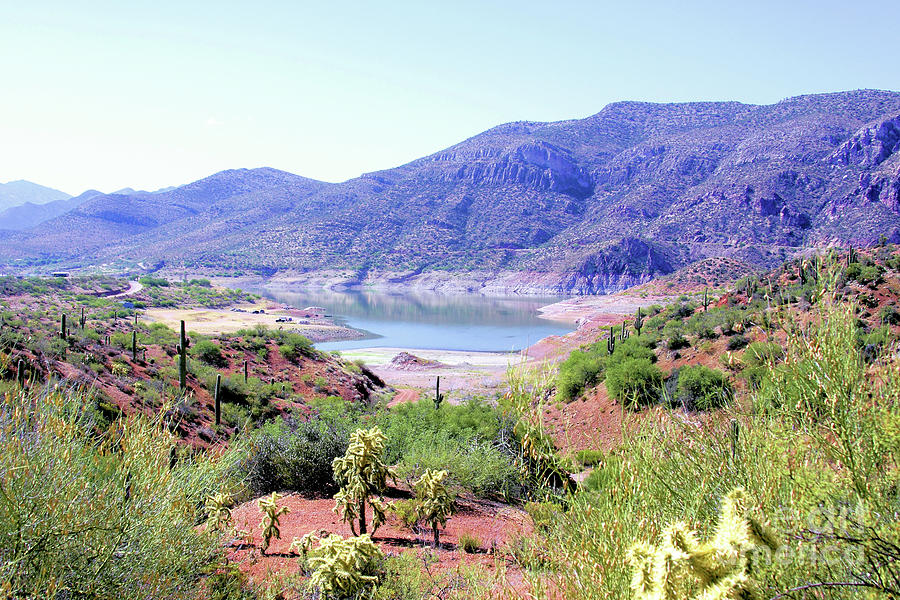 2185 San Carlos Lake Photograph By Sharon Broucek