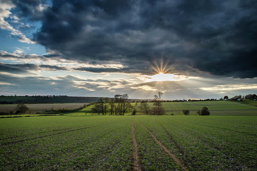 Beautiful English countryside landscape over fields at sunset ...