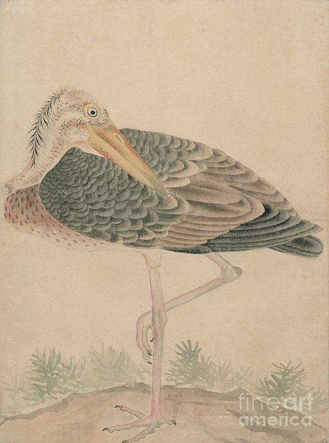 Birds of Japan in the 19th century #22 Painting by Celestial Images