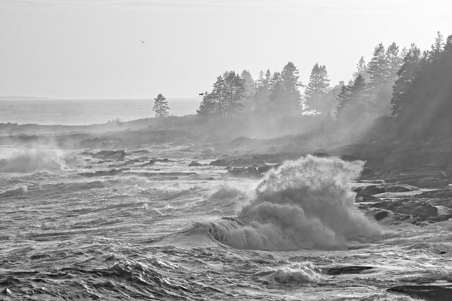Black and White Large Waves Near Pemaquid Point On The Coast Of  #22 Photograph by Keith Webber Jr