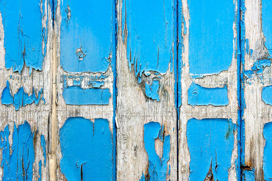 Abstract Photograph - Blue wood #22 by Tom Gowanlock
