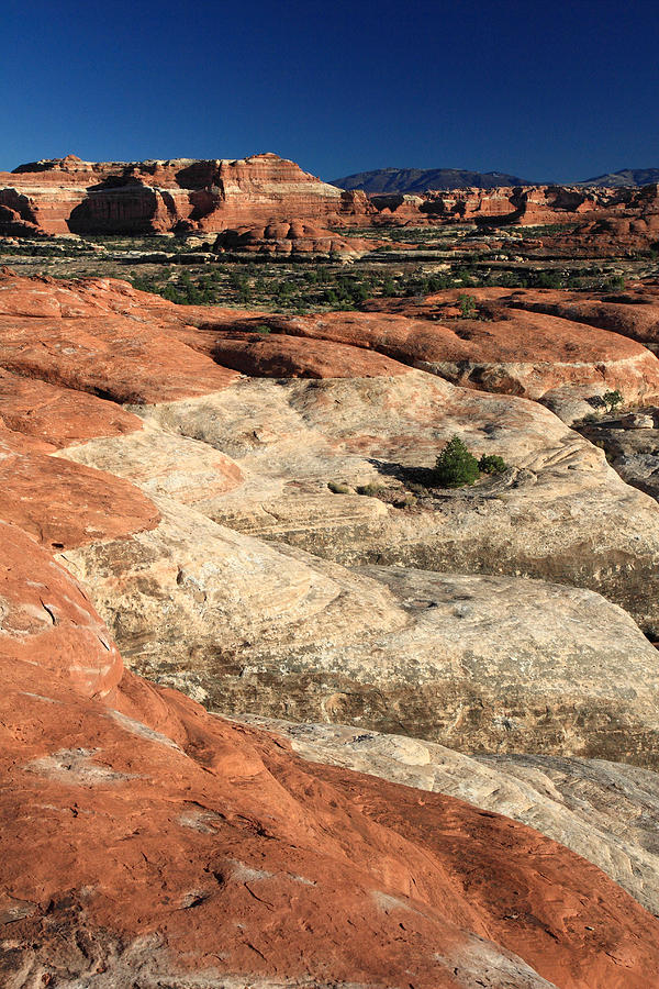 Canyonlands National Park #22 Photograph by Pierre Leclerc Photography