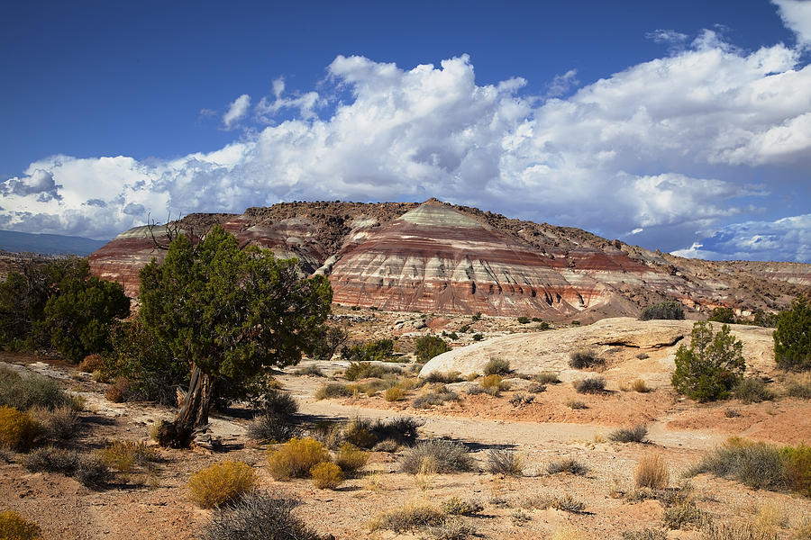 Capitol Reef National Park #22 Photograph by Mark Smith