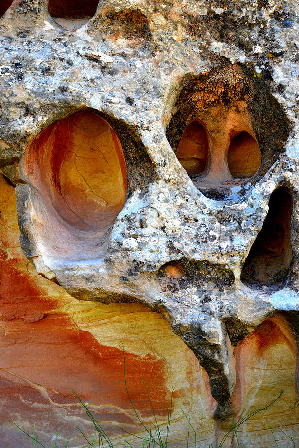 Capitol Reef Wall Art #34 Photograph by Ray Mathis