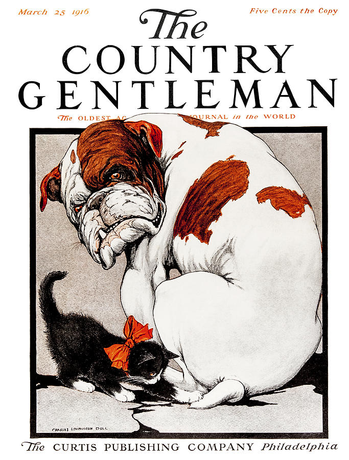 Cover Of Country Gentleman Agricultural #22 Photograph by Remsberg Inc