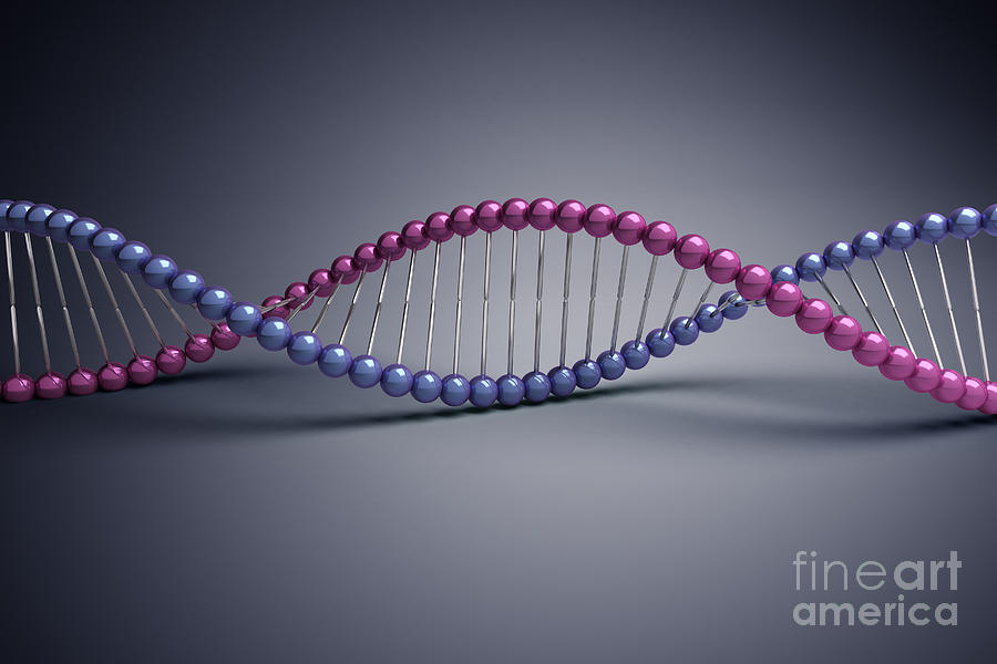 Dna Structure #22 Photograph by Science Picture Co
