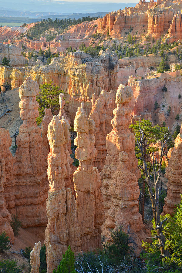 Fairyland Canyon #31 Photograph by Ray Mathis